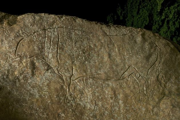 Grotta Cosenza - Arte preistorica